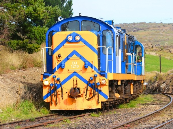 TranzAlpine Train in New Zealand