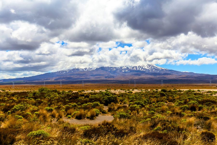 Family in New Zealand's National Park