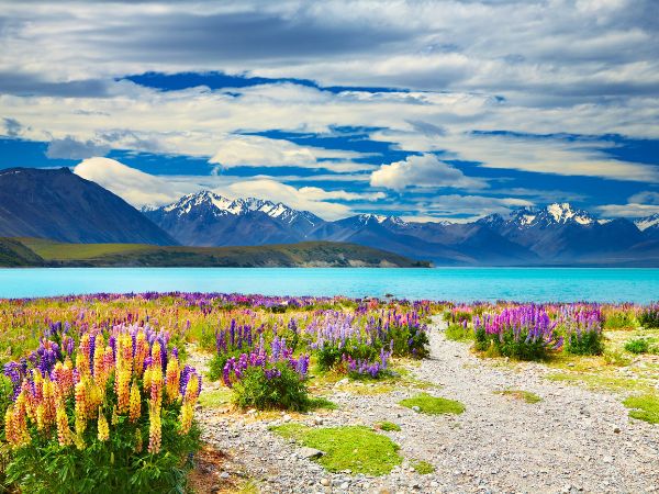 Top 10 Unforgettable Places Every Traveller Should Visit in New Zealand